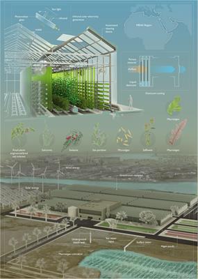 Emerging Technologies to Enable Sustainable Controlled Environment Agriculture in the Extreme Environments of Middle East-North Africa Coastal Regions